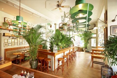 Mr Fogg’s House of Botanicals Image