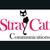 Stray Cat Communications