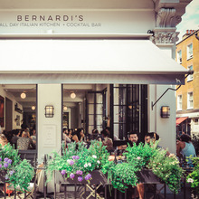 Bernardi's